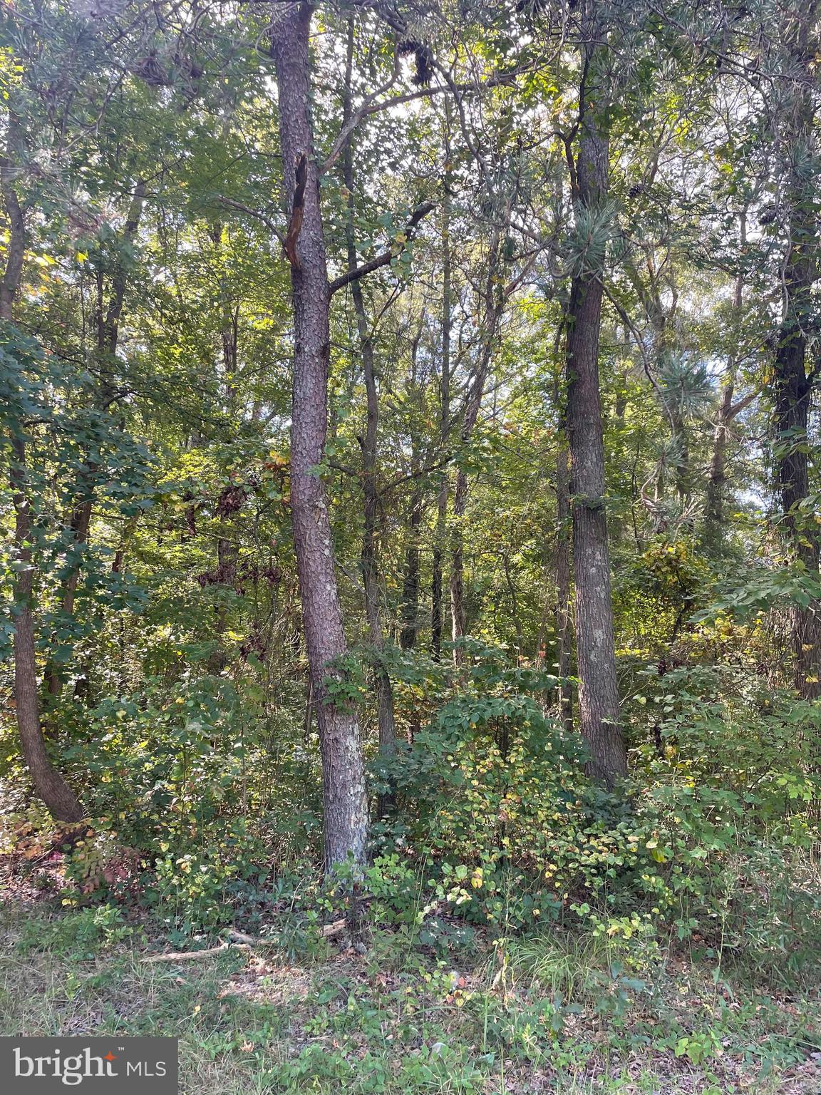 OAKLAND ROAD