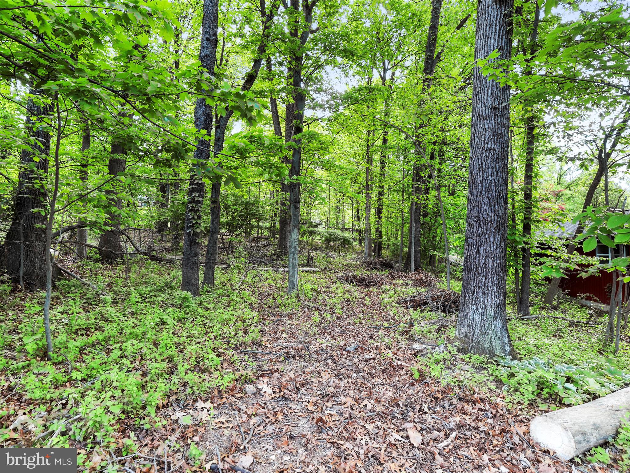 SHANNONDALE - Residential