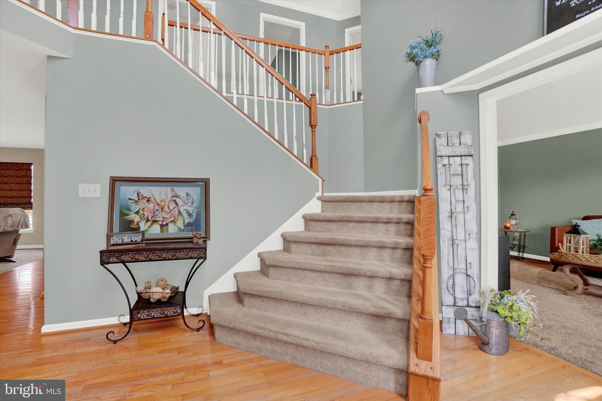 THISTLE DOWNS - Residential