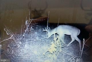 NONE AVAILABLE - Land