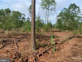 NONE AVAILABLE - Land