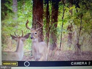 NONE AVAILABLE - Land