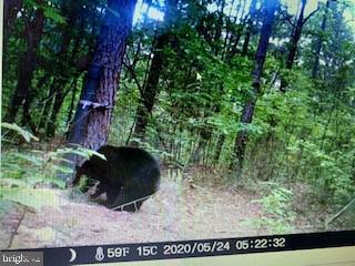 NONE AVAILABLE - Land