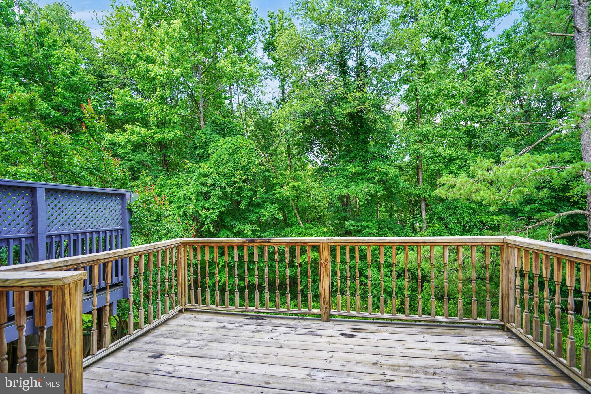 WOODLAWN MEWS - Residential