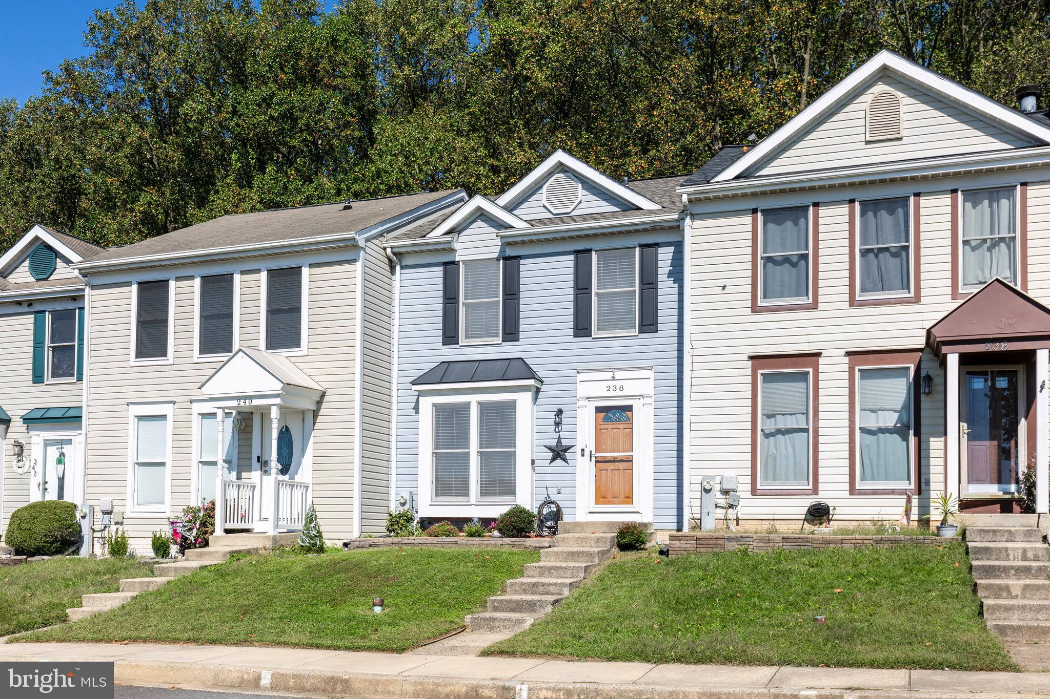 238 MAPLE WREATH COURT