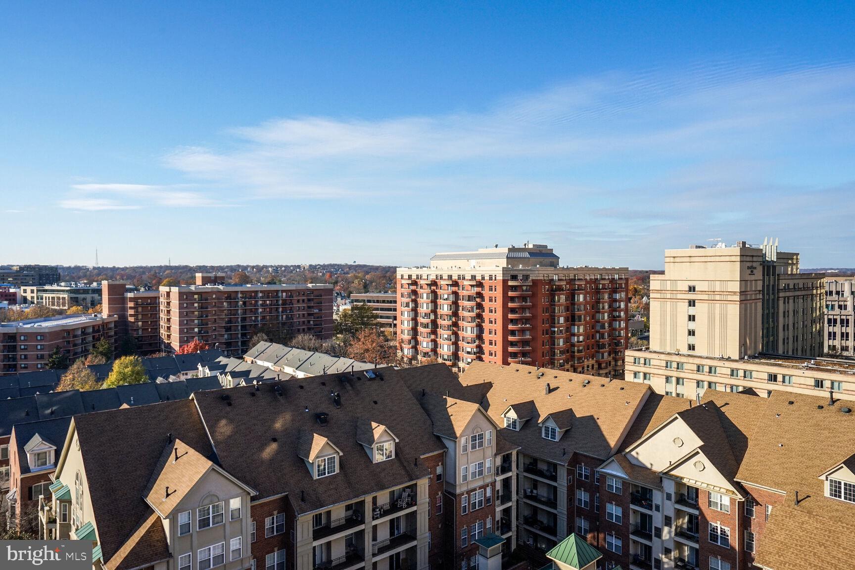 THE WILLIAMSBURG - Residential