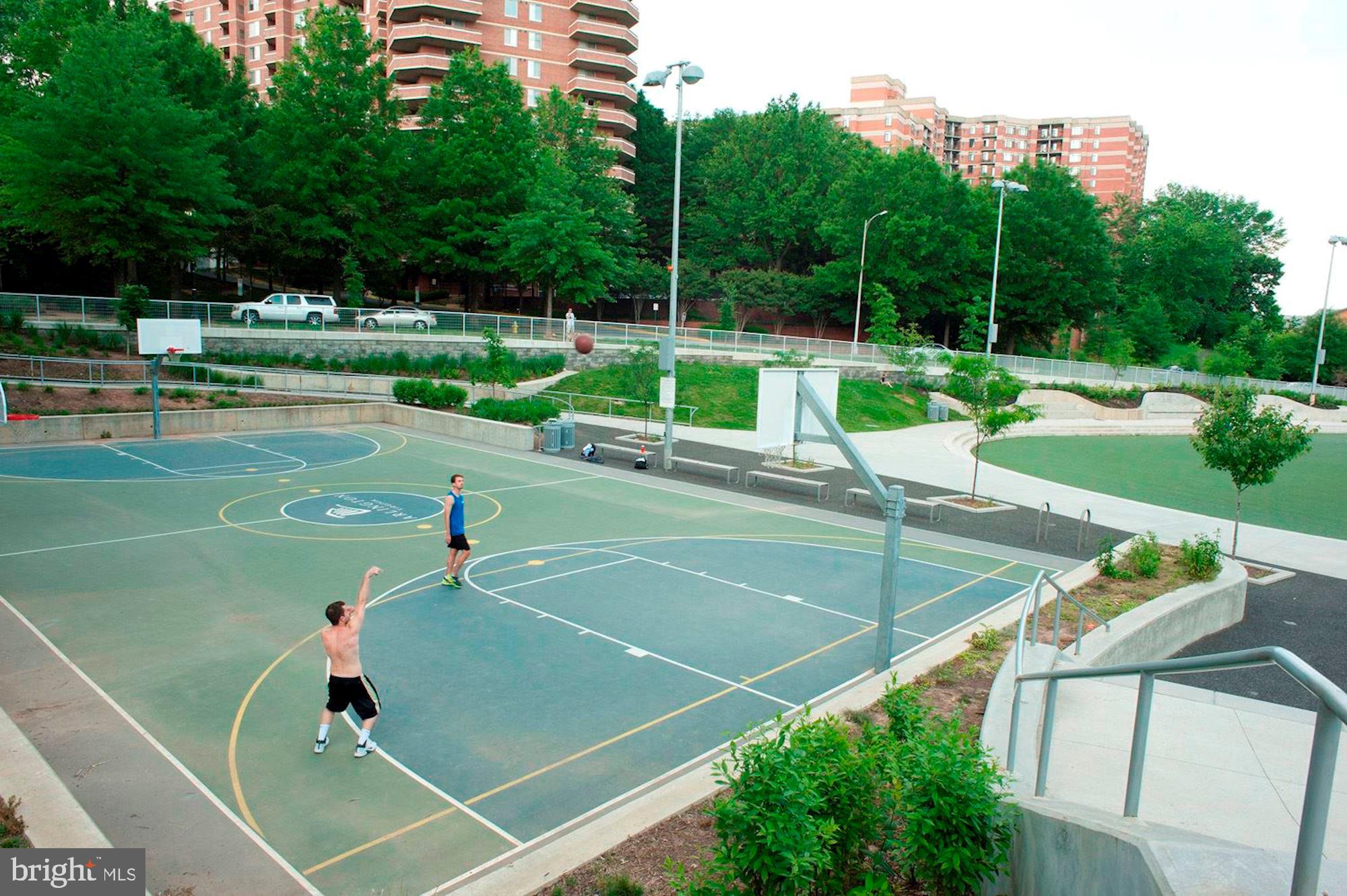 THE WILLIAMSBURG - Residential