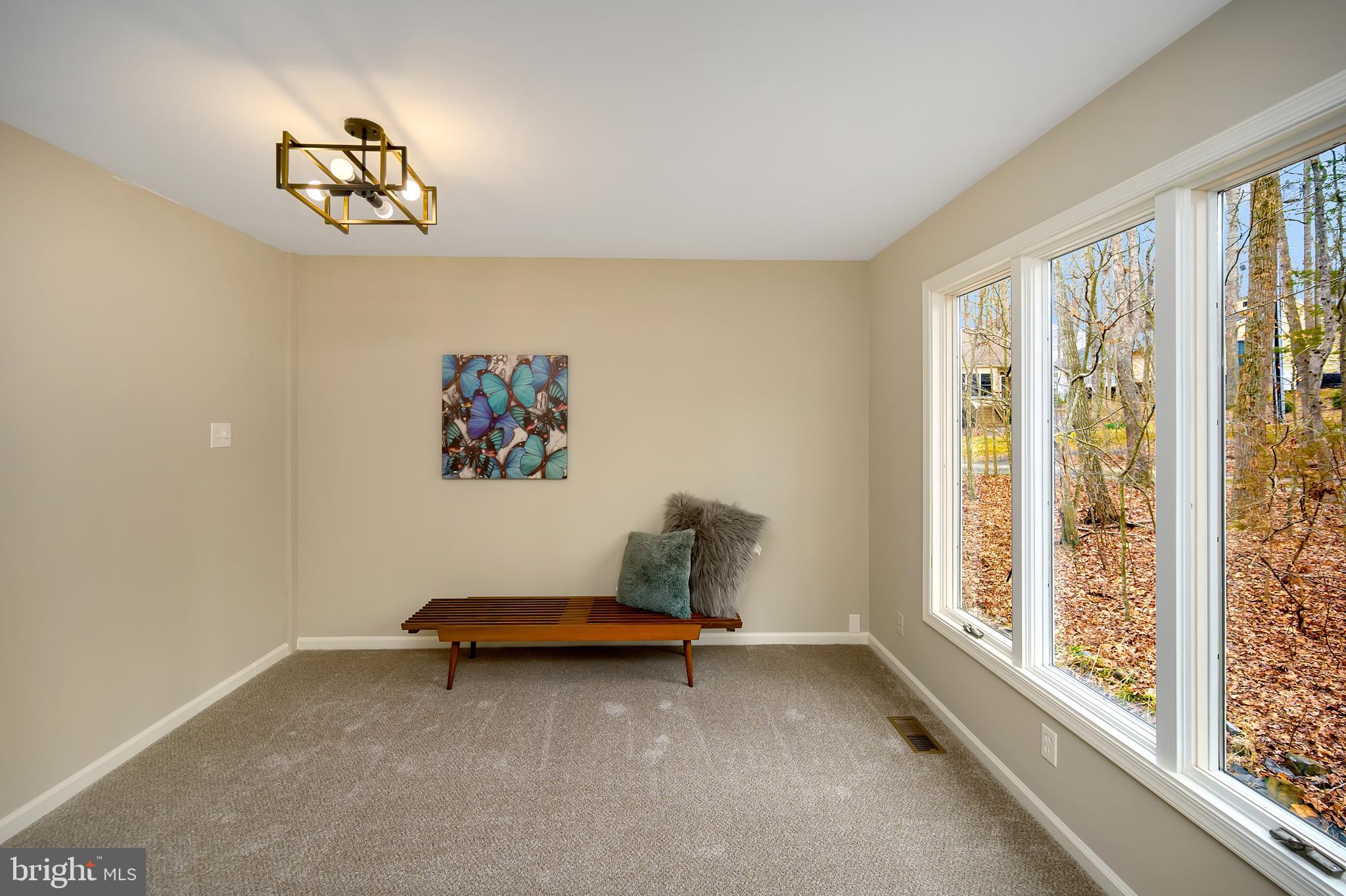 LAKE OF THE WOODS - Residential