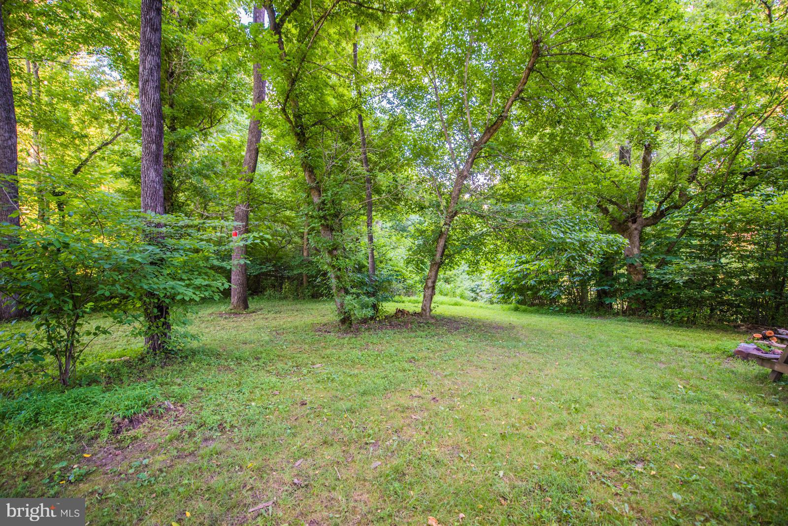 STEAMBOAT RUN - Residential