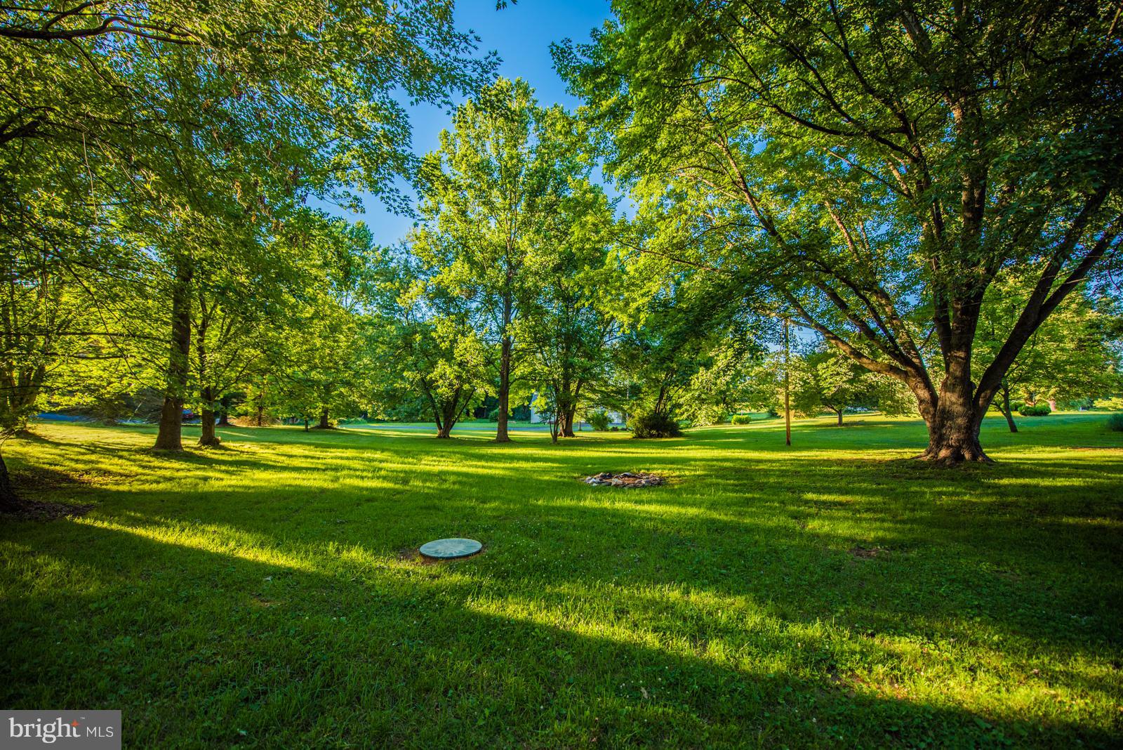 STEAMBOAT RUN - Residential