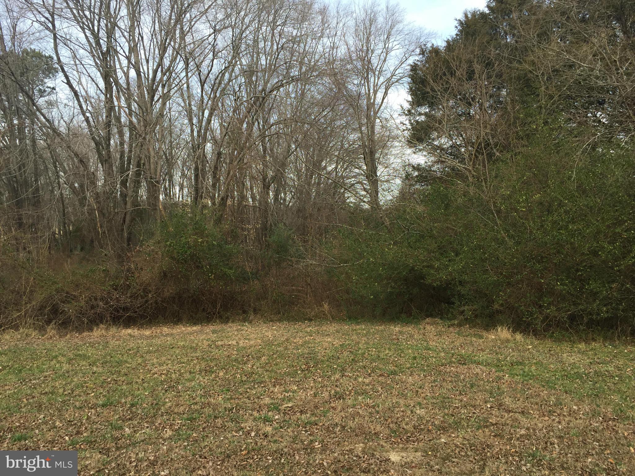 NONE AVAILABLE - Commercial Sale