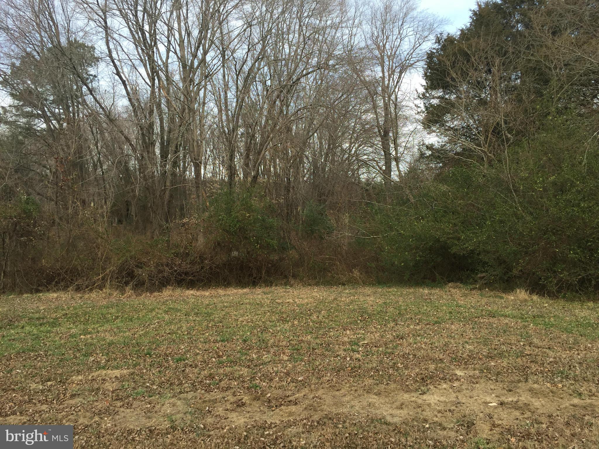 NONE AVAILABLE - Commercial Sale