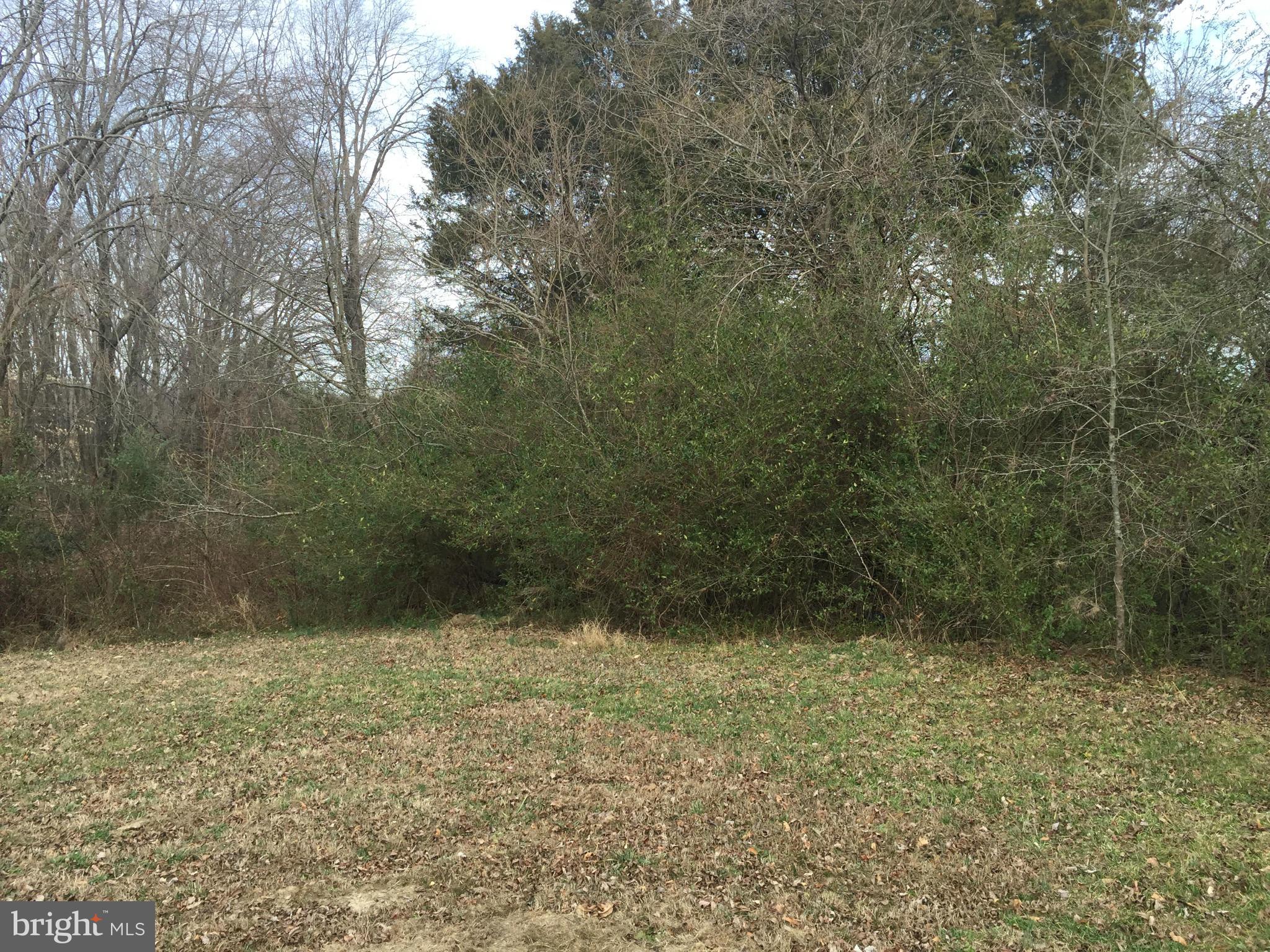 NONE AVAILABLE - Commercial Sale