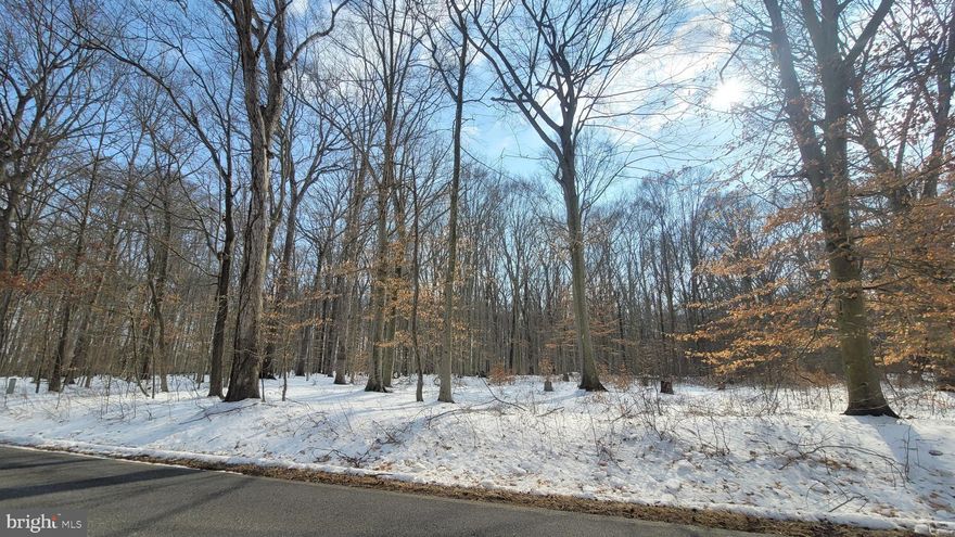 Welcome to  your new home site. Great location in a country setting yet so close to everything. Walk to county parks. The owner is having this lot perced currently and should have an approval by May. Soils and water table may allow for a basement on this lot. Contracts can be contingent on the perc approval. Not many lots like this left. Grab it before its gone!