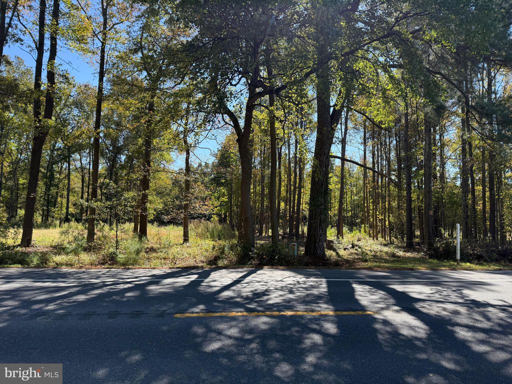 Photo of 0 Laurel Rd, MILLSBORO, DE 19966 (MLS # DESU2099790)