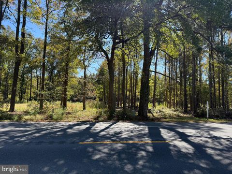 0 LAUREL RD MILLSBORO DE 19966