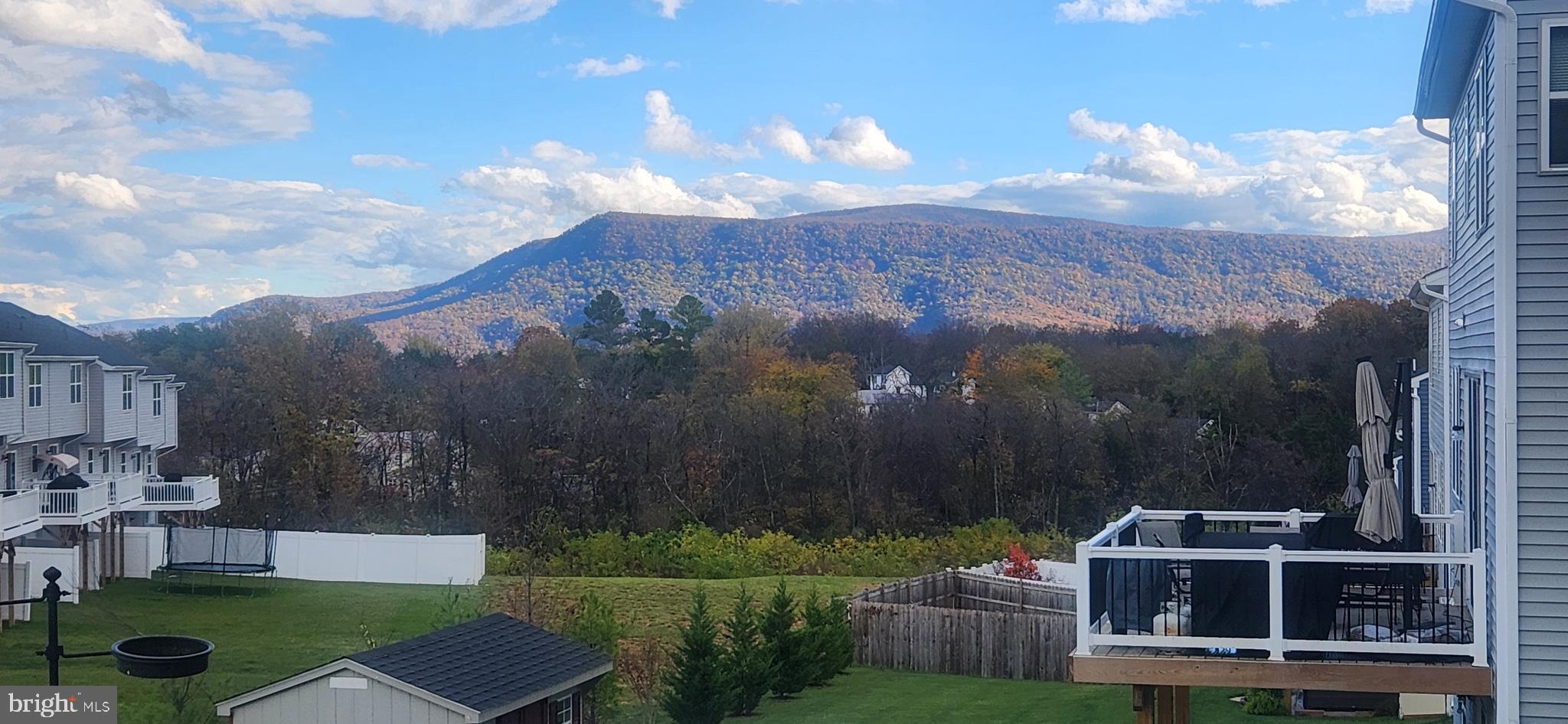 CEDAR SPRING - Residential