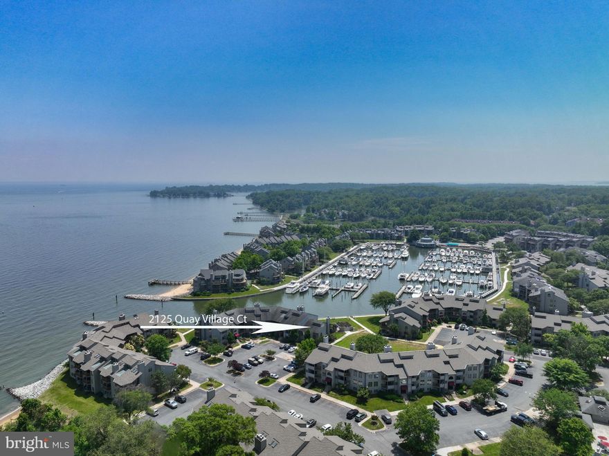 This designer waterfront home has been transformed into a coastal contemporary masterpiece. Opportunities to purchase a turnkey home in the exclusive gated Chesapeake Harbour community don’t come often.  Even more rare is the fact that there are only 11 of these special private entrance homes in the entire 454-home community.  The huge indoor and outdoor gathering spaces include a wood-burning fireplace and adorn the spectacular marina making it vividly clear that this home is a cut above.  The owners who are moving South to follow their service academy graduate children, spared no expense while living in the home, customizing this best-in-class home from floor to ceiling.  EVERYTHING is new – the Anderson windows and sliders, solid-core doors, 6” wood flooring, custom shaker cabinets with soft-close doors and drawers, new HVAC unit and ducting, custom railings, Velux skylights, etc. The chef’s kitchen is complete with a Sub-Zero refrigerator and wine cooler, a Café induction double range, dishwasher, and speed over.  The home includes three custom California Closet designed walk-in closets that provide bedrooms with an abundance of beautiful storage space. The Master Bedroom seamlessly combines tranquility with modern contemporary finishes and the tiled shower and custom vanity highlight what is possible when no expense is spared.  The community, which includes pools, tennis and pickleball courts, is minutes away from downtown Annapolis and all that this vibrant capitol city entails and just steps away from the Beacon Waterfront restaurant, Black-market Bakery, and the summer concert series at the Maritime Museum. Chesapeake Harbor Marina is privately owned and operated by Trident Marine Annapolis MD.  DON'T MISS THIS OPPORTUNITY!