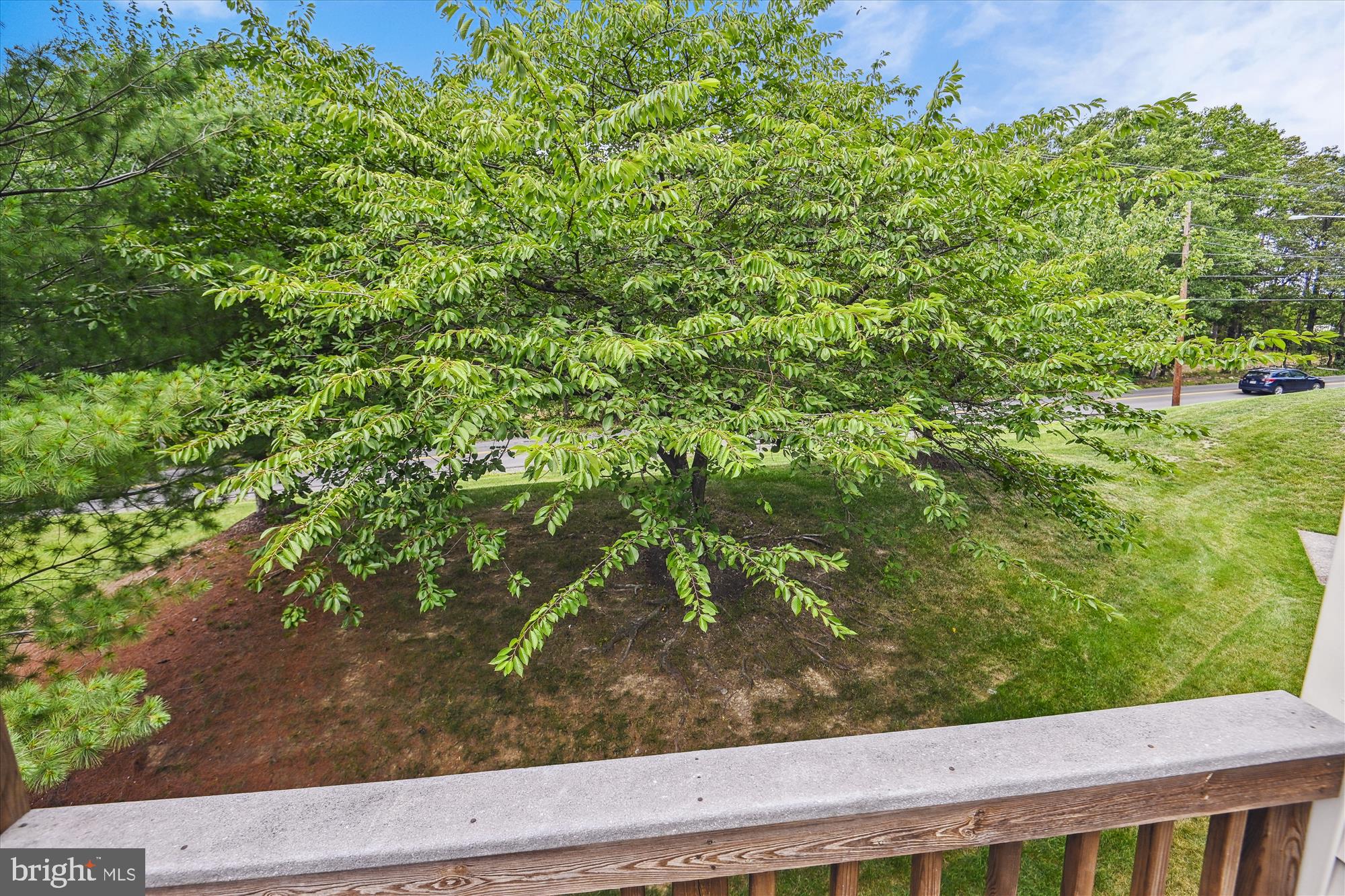 ROCK HILL - Residential