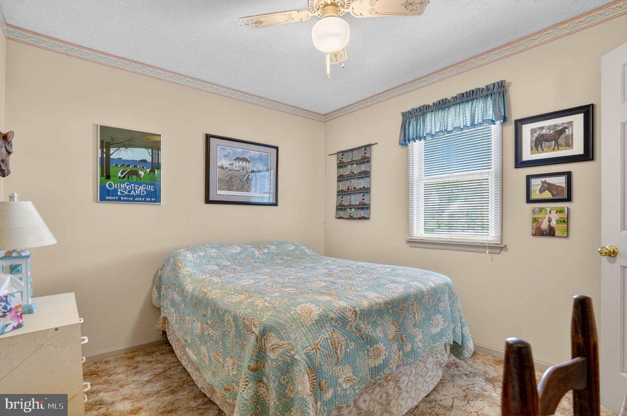 CHINCOTEAGUE - Residential