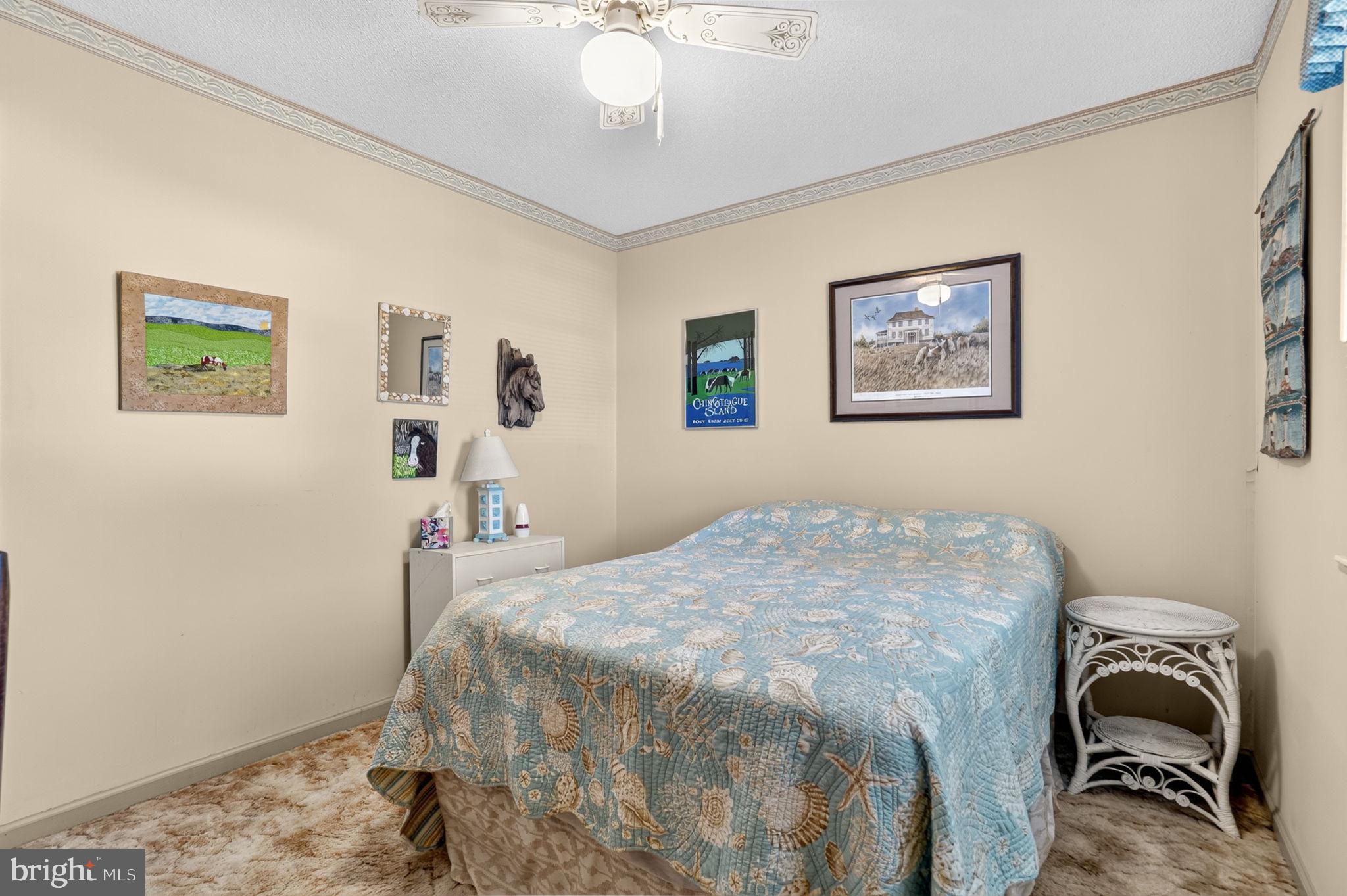 CHINCOTEAGUE - Residential