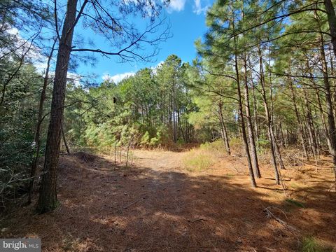 ROMANCOKE ROAD STEVENSVILLE MD 21666