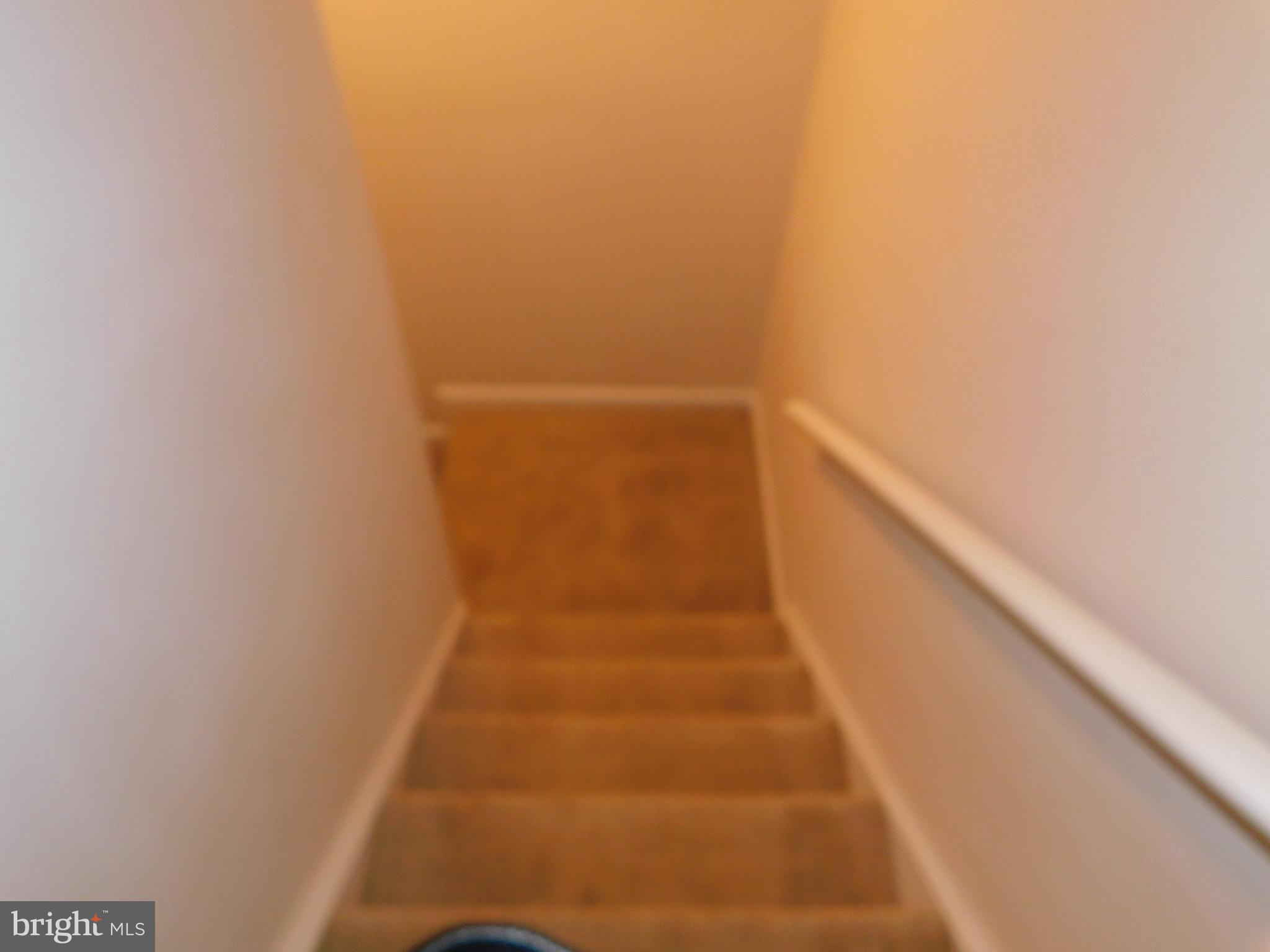 POTOMAC HILLS - Residential Lease