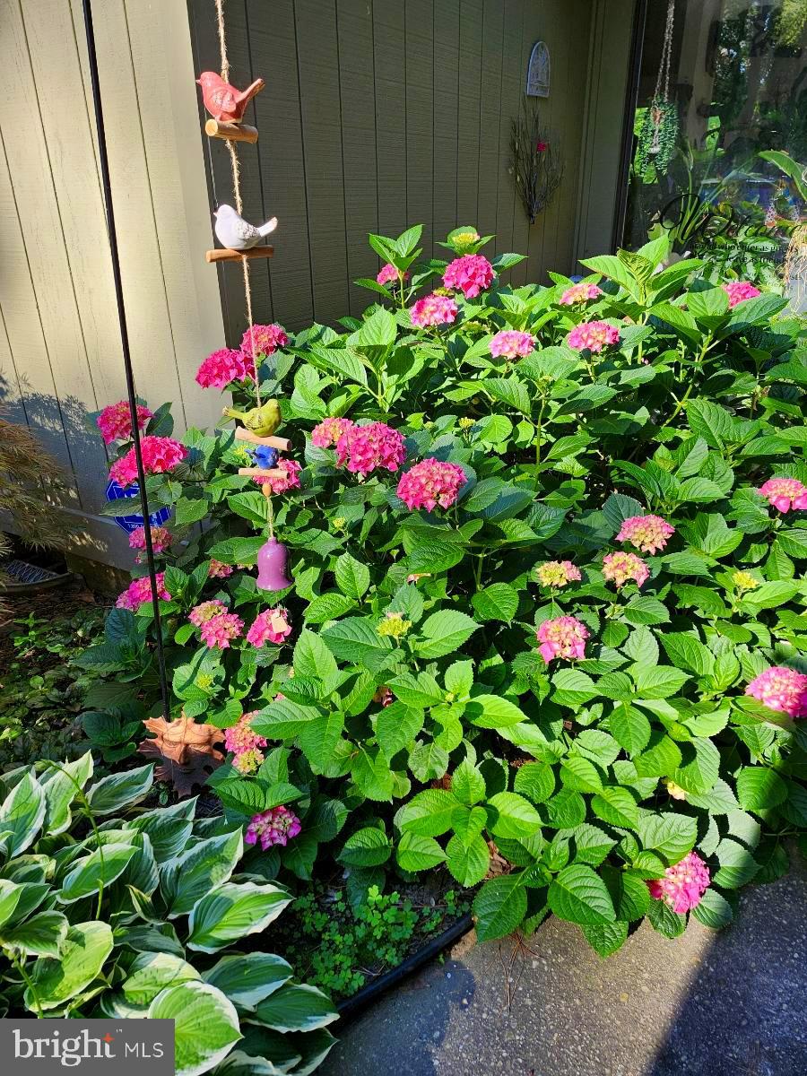 MARTINGHAM - Residential