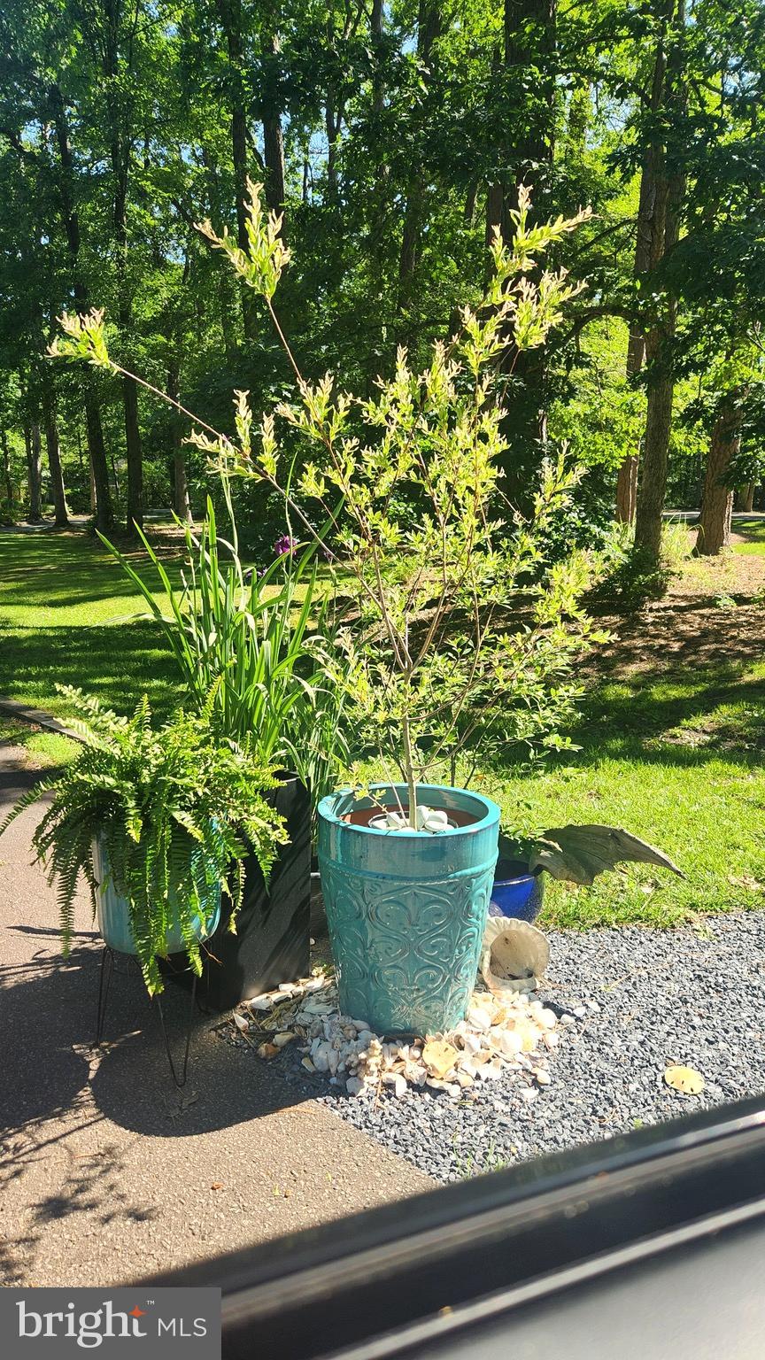 MARTINGHAM - Residential