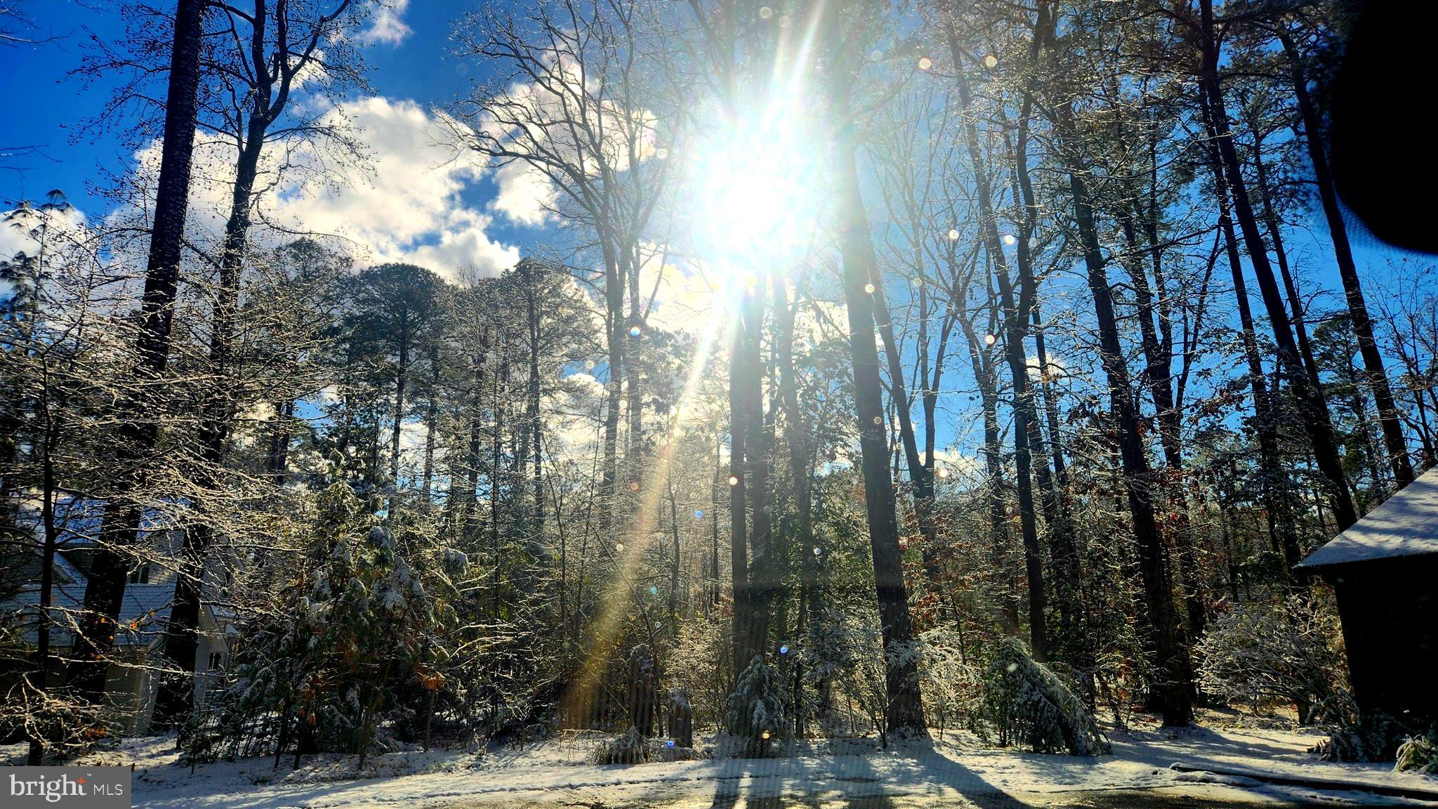 MARTINGHAM - Residential