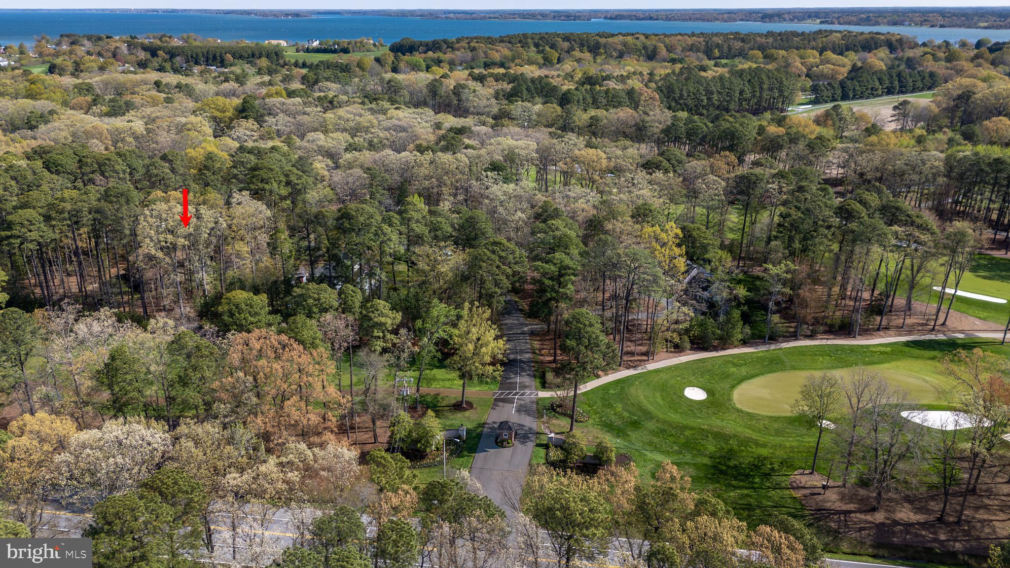 MARTINGHAM - Residential