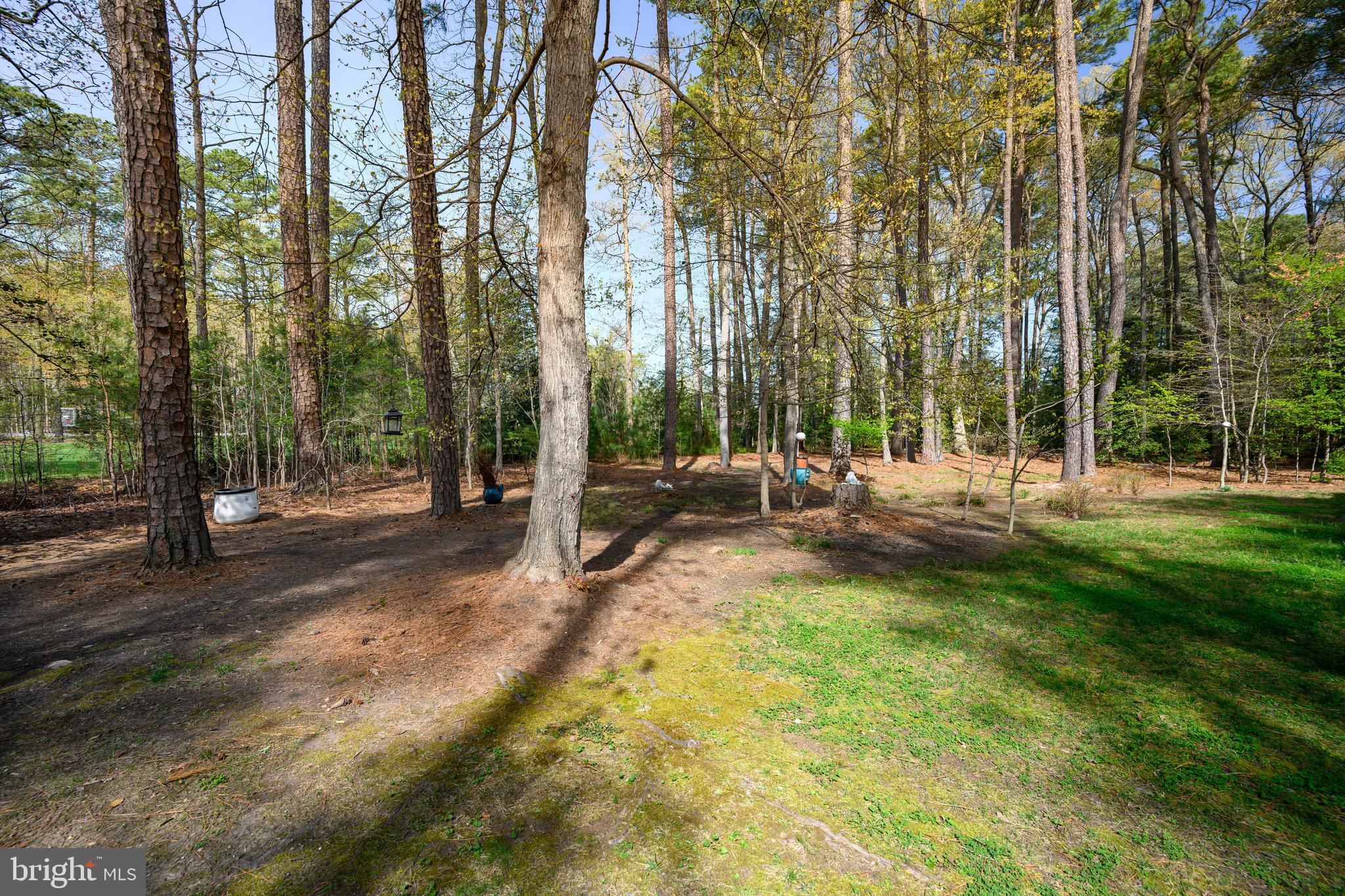 MARTINGHAM - Residential