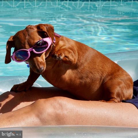 COPPERFIELD - Residential