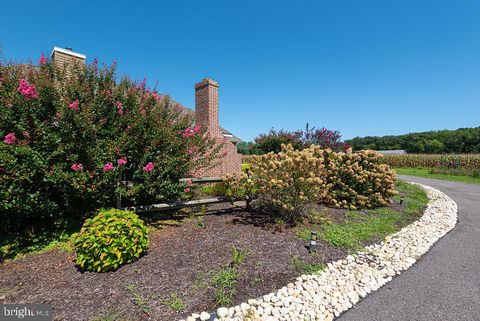 Tiny photo for 11910 Back Creek Road, BISHOPVILLE, MD 21813 (MLS # MDWO2035500)