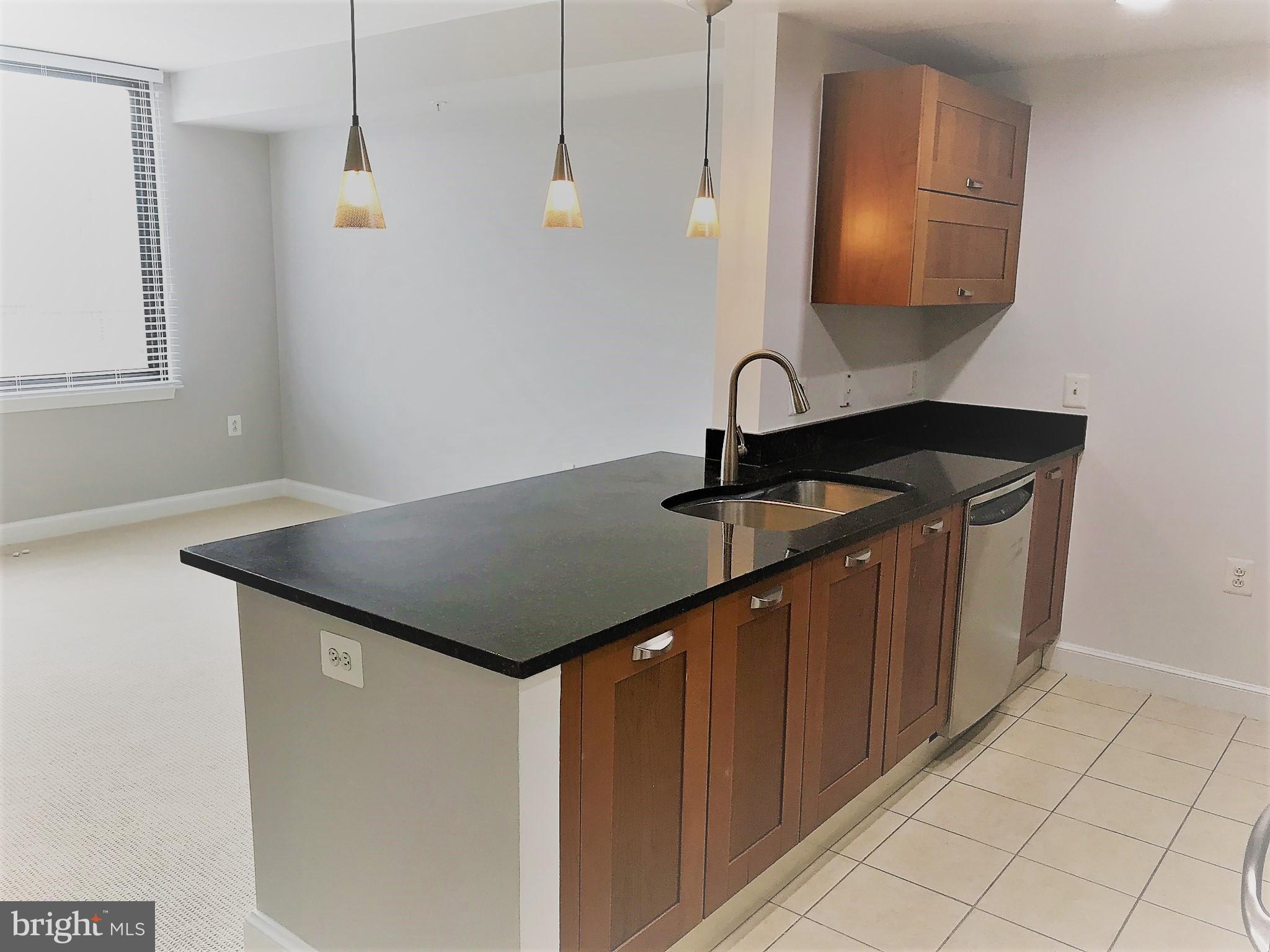 MIDTOWN ALEXANDRIA STATION CONDOMINIUM - Residential Lease