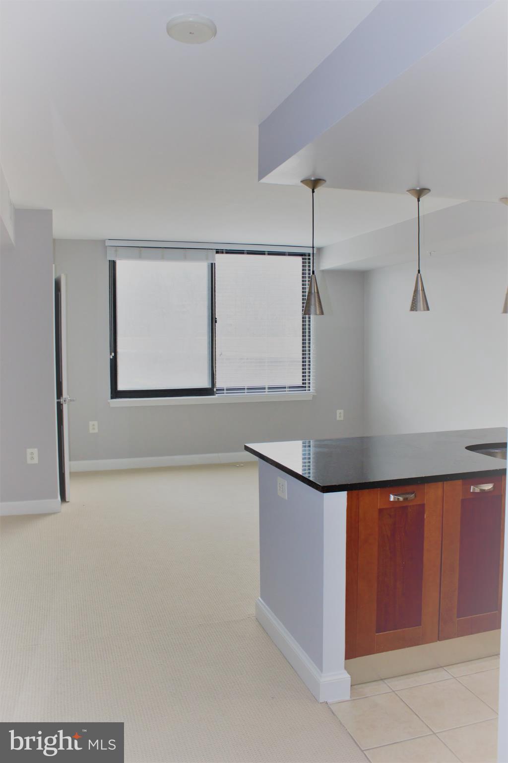 MIDTOWN ALEXANDRIA STATION CONDOMINIUM - Residential Lease