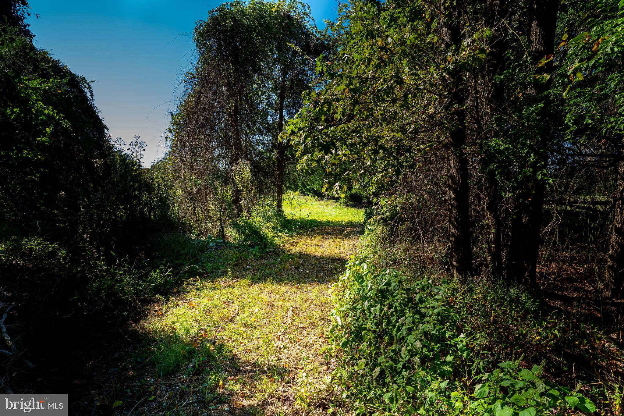 POTOMAC ESTATES - Land