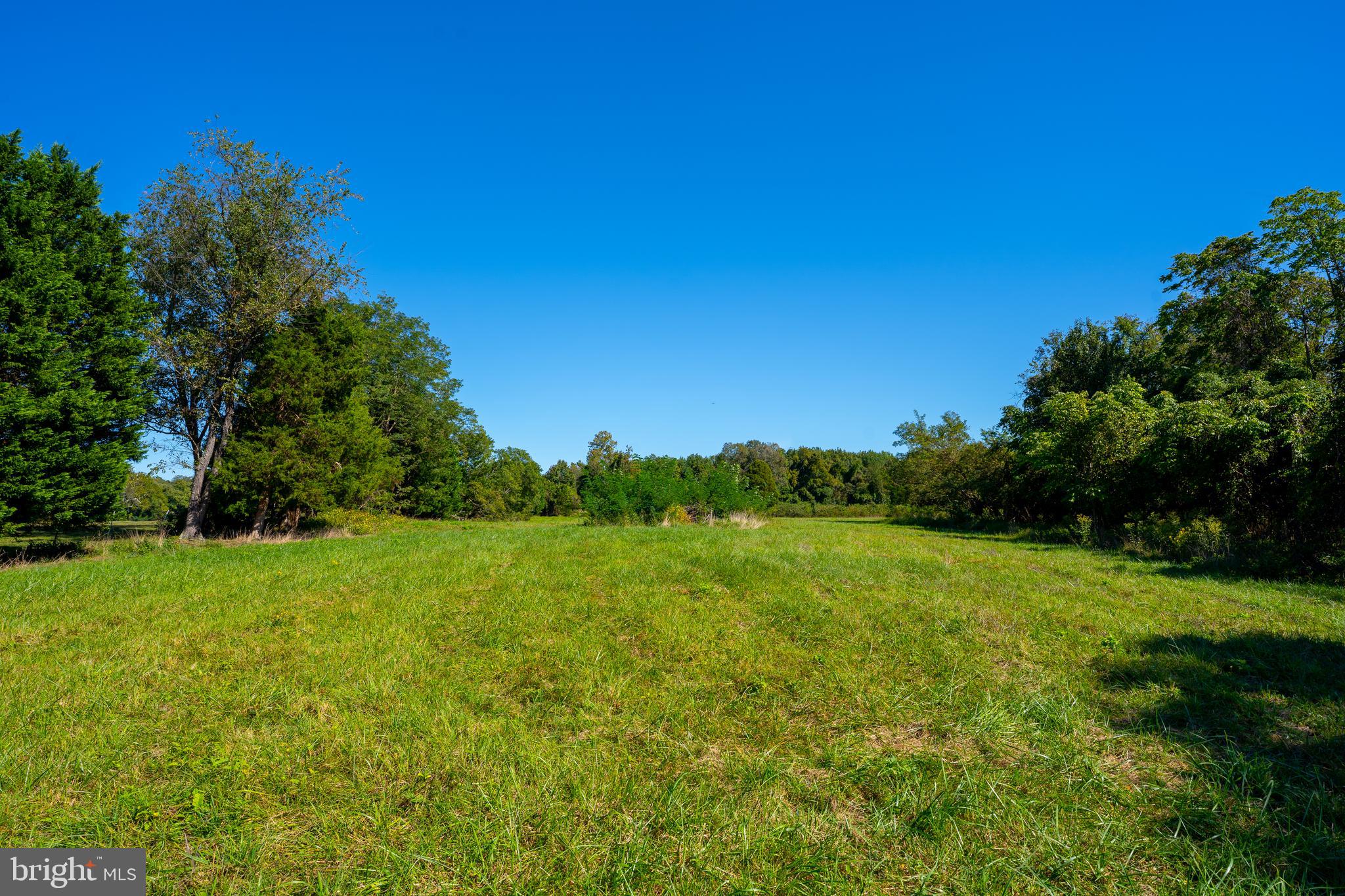 POTOMAC ESTATES - Land