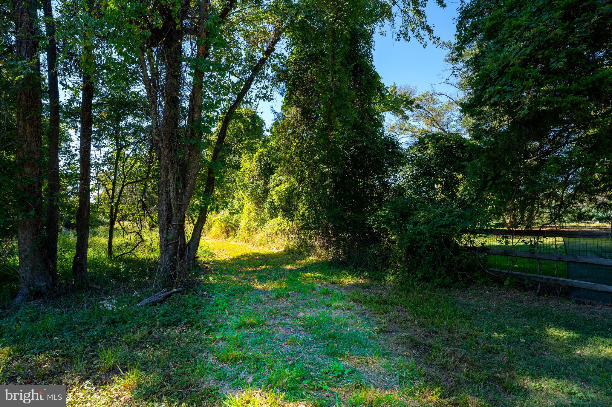 POTOMAC ESTATES - Land