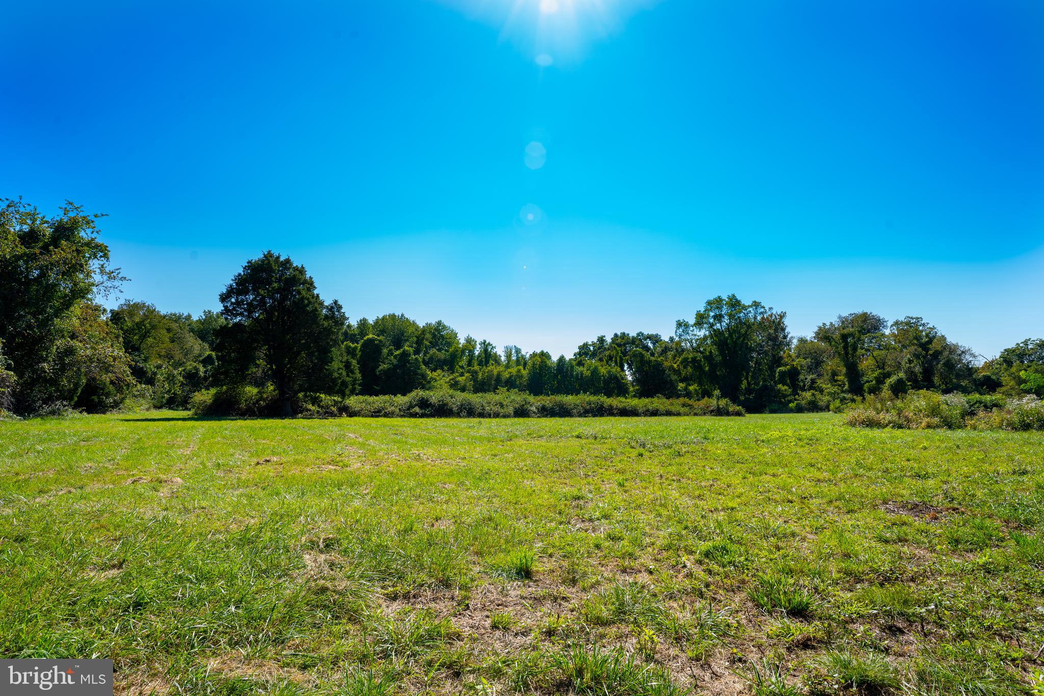 POTOMAC ESTATES - Land