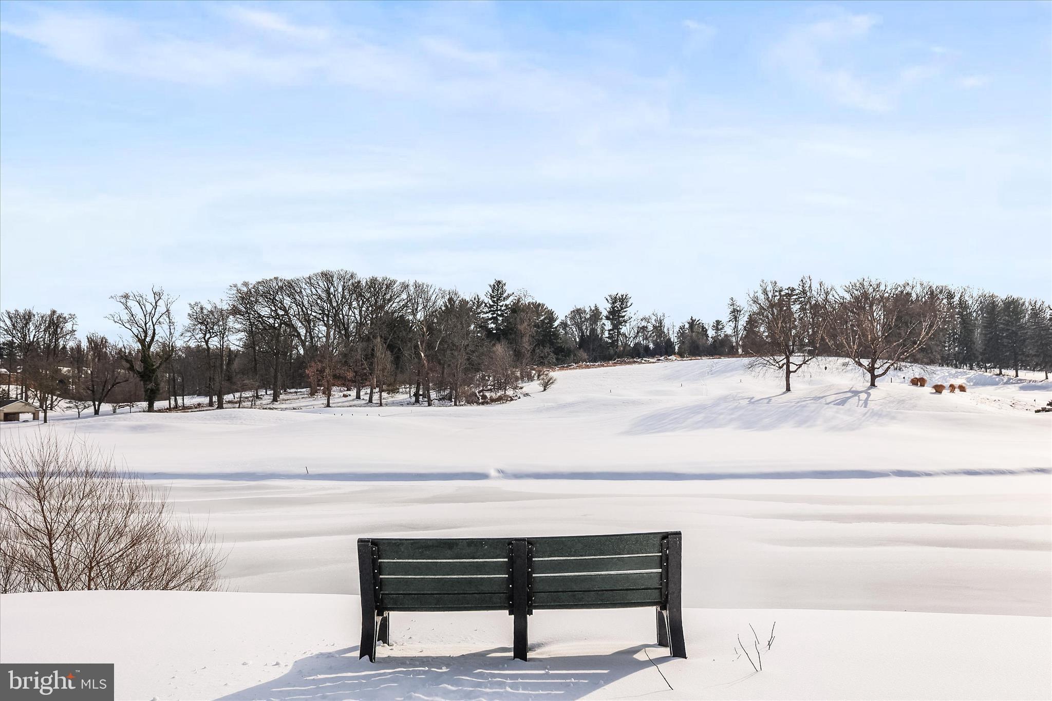 REGENTS GLEN - Residential