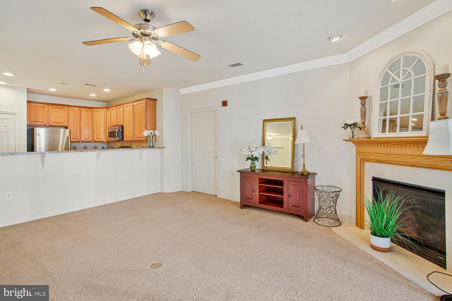 SNOWDEN OVERLOOK - Residential