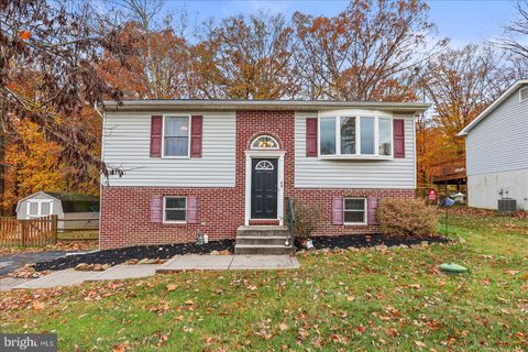 40 CATALPA NORTH EAST MD 21901