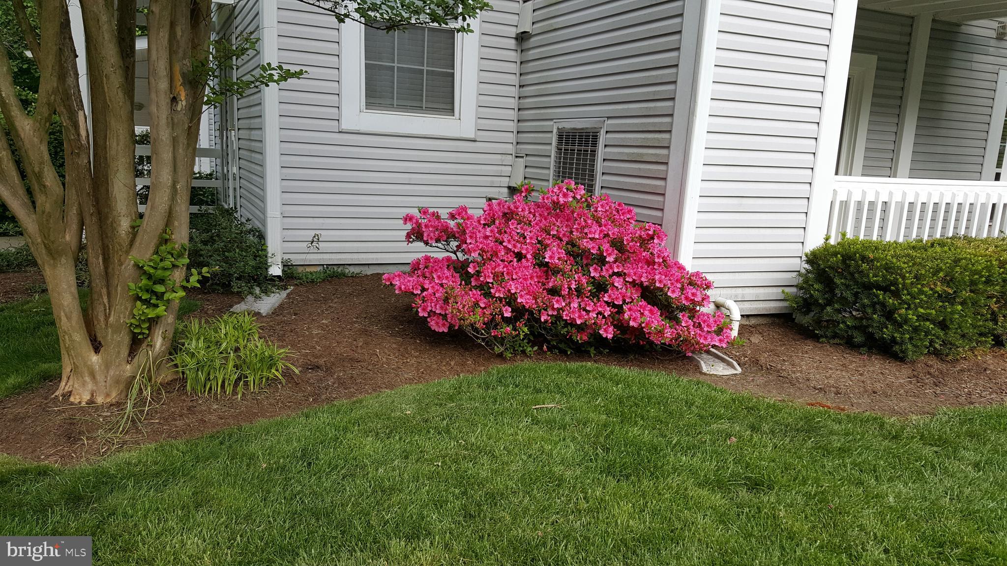 THE VININGS - Residential