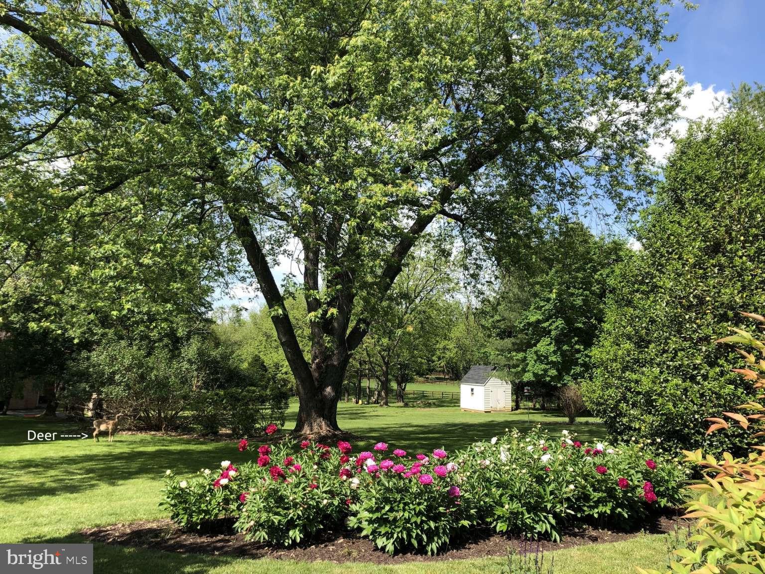 GOSHEN ESTATES - Residential