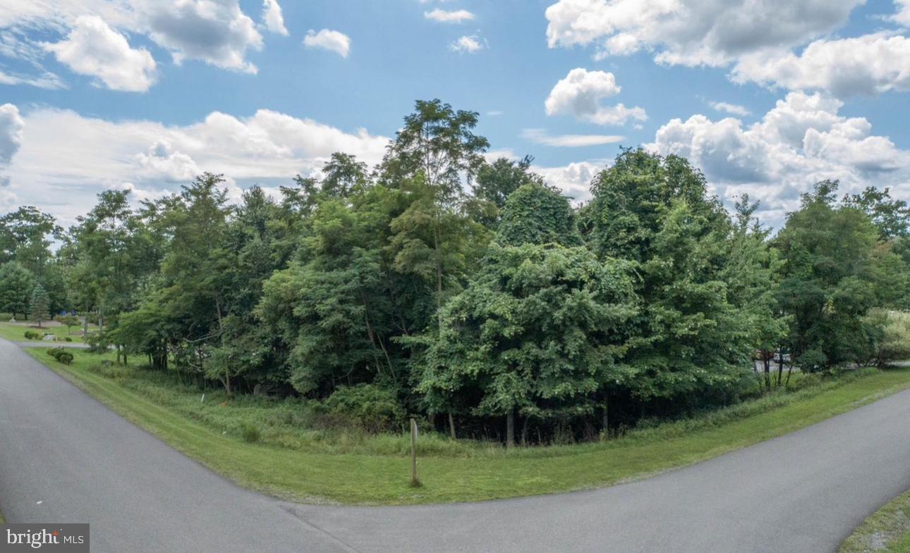 Beautiful half acre building lot in the prestigious Deep Creek Highlands! Centrally located in the heart of Deep Creek Lake, your future home is minutes from Marina’s, Restaurants and the Slopes at WISP Resort. This gated community offers excellent privacy with hiking trails, playground and an outdoor pool. Public utility hook-ups available on site. The only thing this property needs is your dream home… Call today for details!