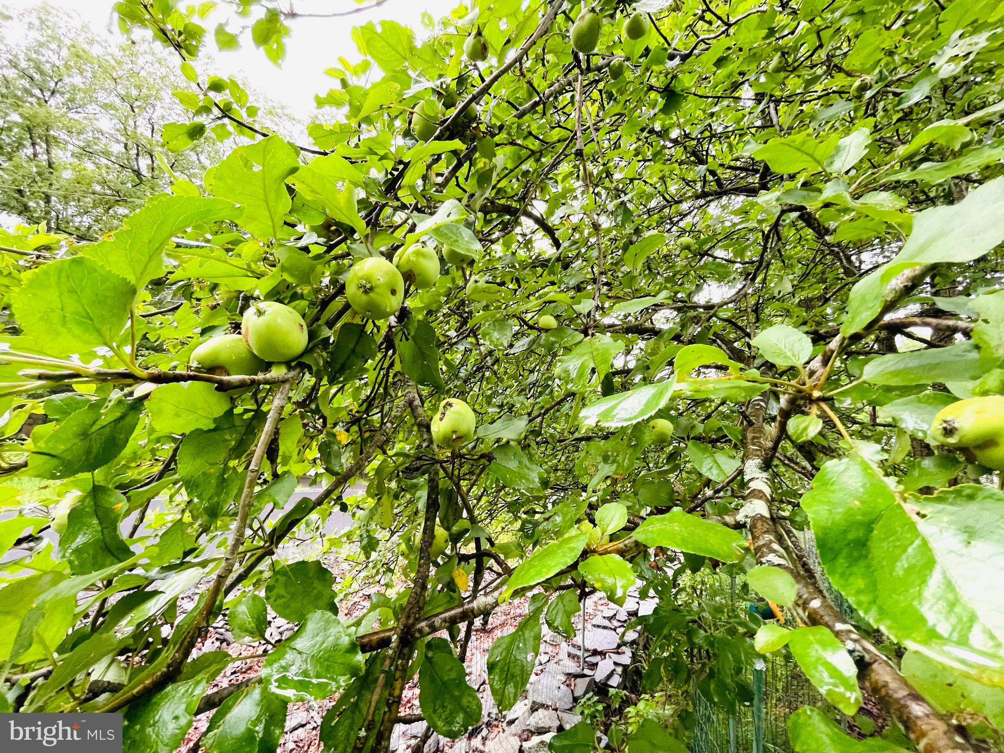 SAW CREEK ESTATES - Residential