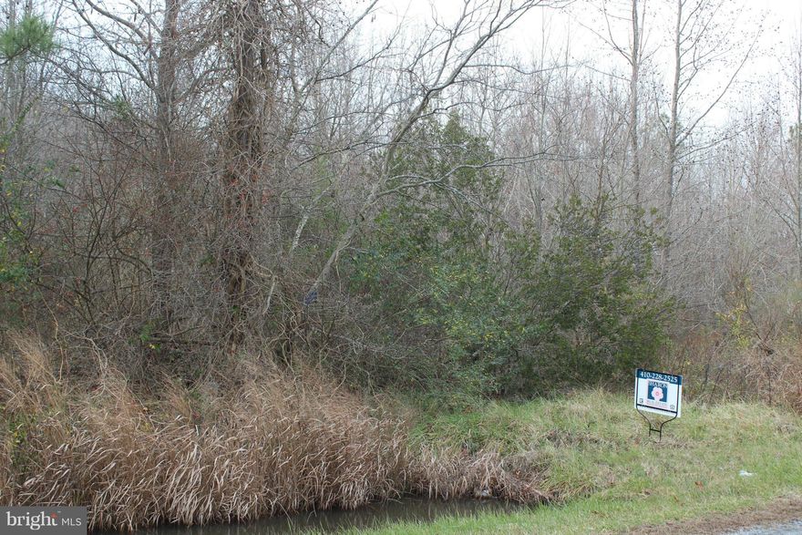 Wooded Property has been perked and survey on file. Great for hunting or build your dream home.