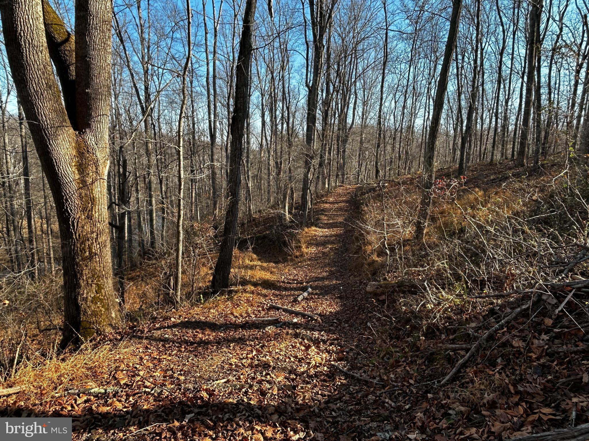 RAPPAHANNOCK COUNTY SCHOOLS - Residential