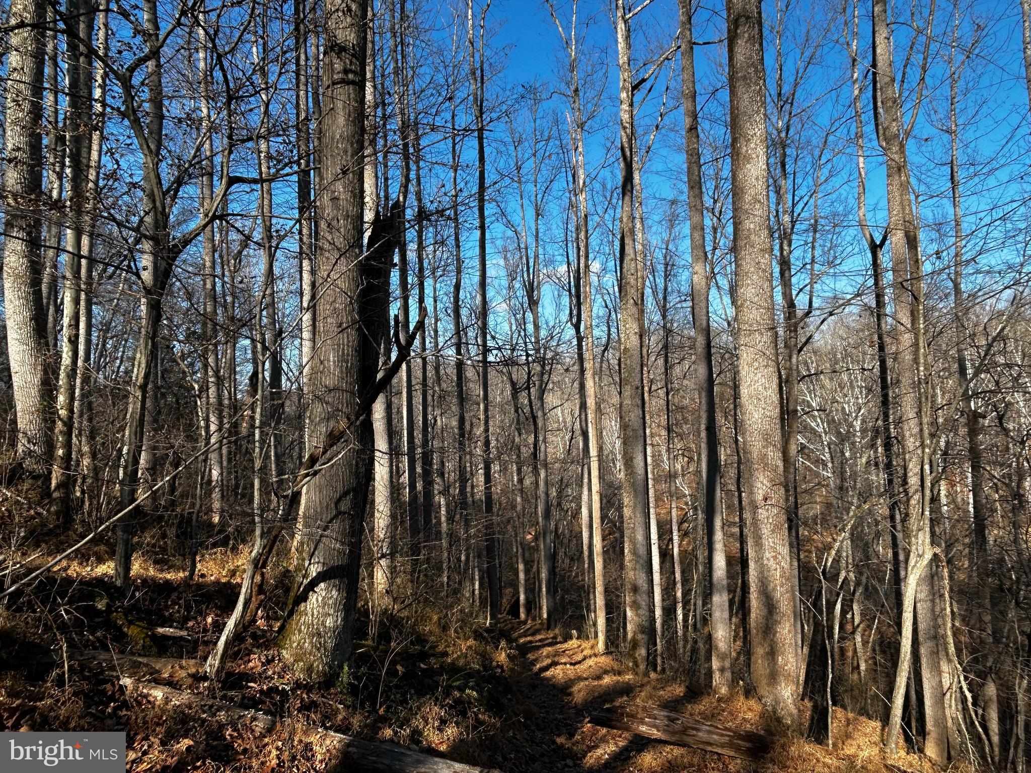 RAPPAHANNOCK COUNTY SCHOOLS - Residential